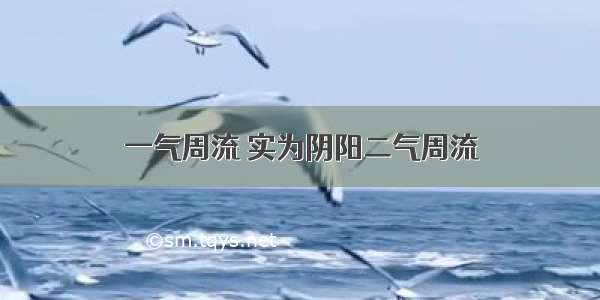 一气周流 实为阴阳二气周流