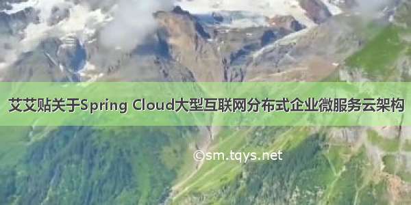 艾艾贴关于Spring Cloud大型互联网分布式企业微服务云架构