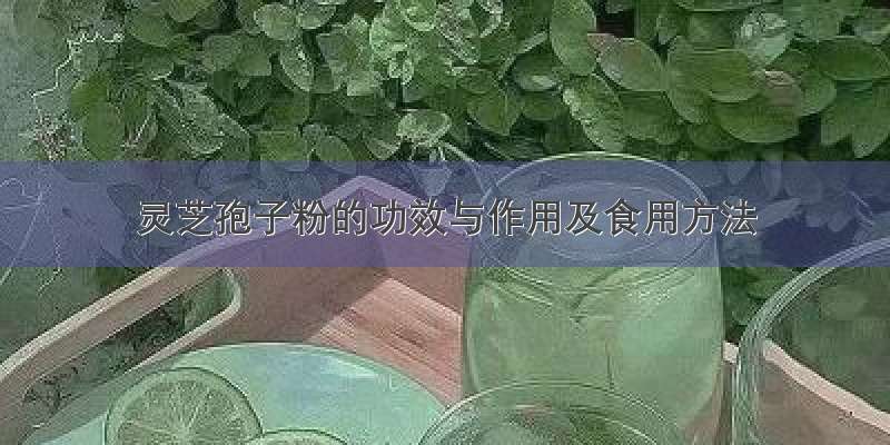 灵芝孢子粉的功效与作用及食用方法