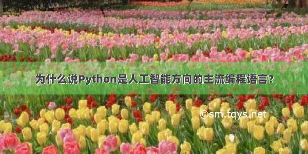 为什么说Python是人工智能方向的主流编程语言？