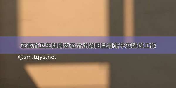 安徽省卫生健康委莅亳州涡阳县调研平安建设工作