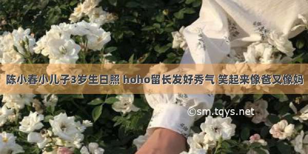 陈小春小儿子3岁生日照 hoho留长发好秀气 笑起来像爸又像妈