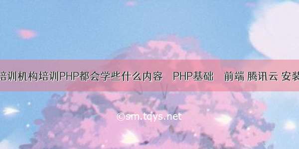 一般培训机构培训PHP都会学些什么内容 – PHP基础 – 前端 腾讯云 安装php