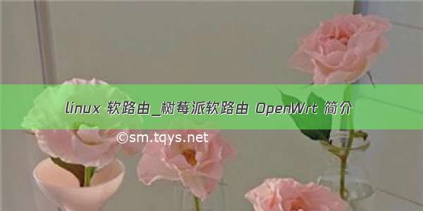 linux 软路由_树莓派软路由 OpenWrt 简介