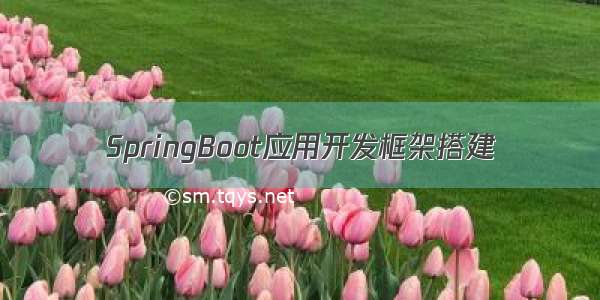 SpringBoot应用开发框架搭建