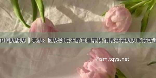 巾帼助脱贫｜芜湖：四级妇联主席直播带货 消费扶贫助力脱贫攻坚