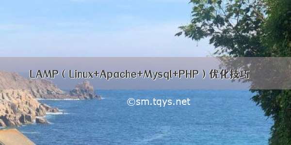 LAMP（Linux+Apache+Mysql+PHP）优化技巧