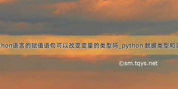 python语言的赋值语句可以改变变量的类型吗_python 数据类型和变量