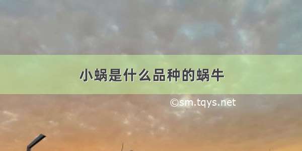 小蜗是什么品种的蜗牛