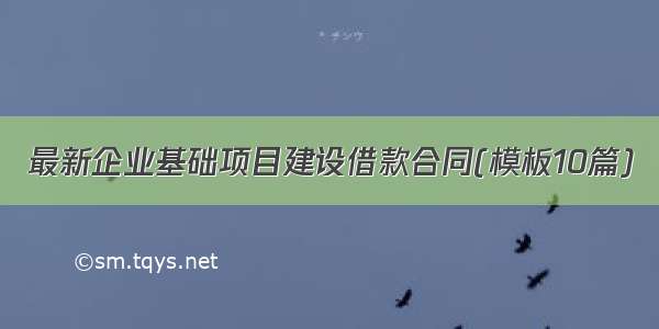 最新企业基础项目建设借款合同(模板10篇)