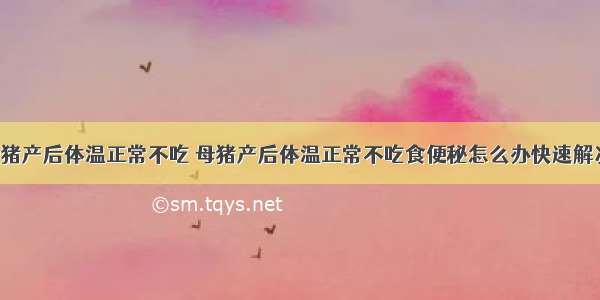 母猪产后体温正常不吃 母猪产后体温正常不吃食便秘怎么办快速解决l