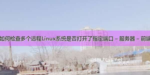 如何检查多个远程Linux系统是否打开了指定端口 – 服务器 – 前端