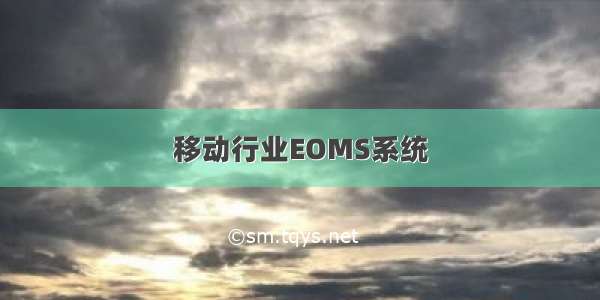 移动行业EOMS系统