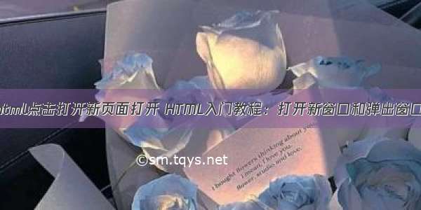 html点击打开新页面打开 HTML入门教程：打开新窗口和弹出窗口