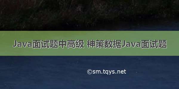 Java面试题中高级 神策数据Java面试题