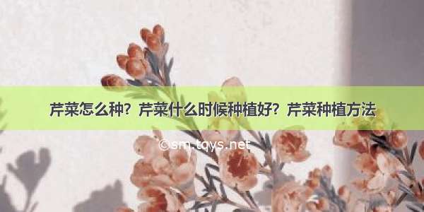 芹菜怎么种？芹菜什么时候种植好？芹菜种植方法