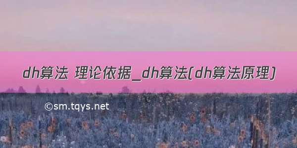 dh算法 理论依据_dh算法(dh算法原理)