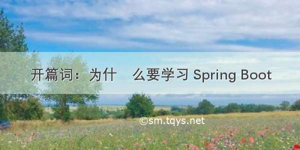 开篇词：为什什么要学习 Spring Boot