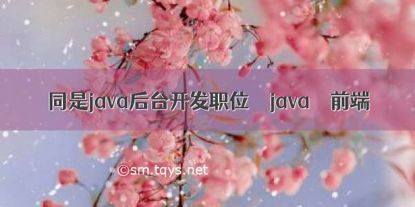 同是java后台开发职位 – java – 前端