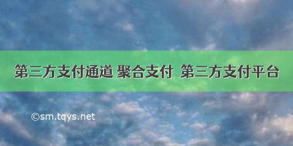 第三方支付通道 聚合支付  第三方支付平台