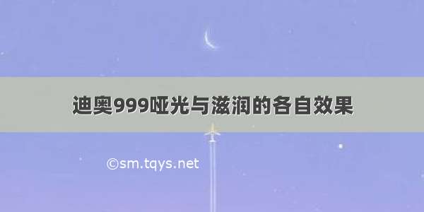 迪奥999哑光与滋润的各自效果