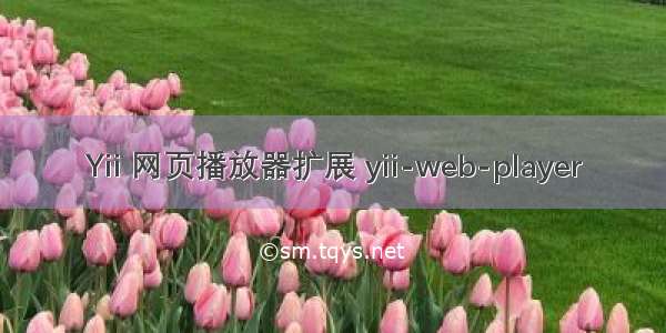 Yii 网页播放器扩展 yii-web-player