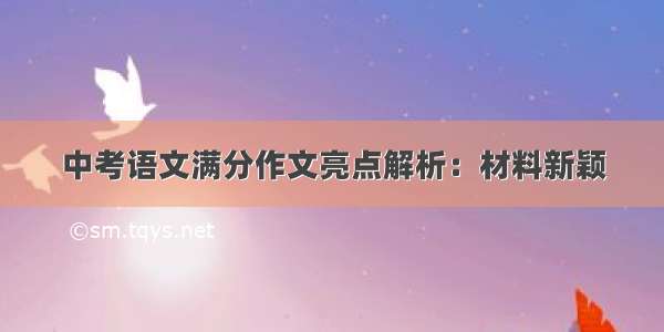 中考语文满分作文亮点解析：材料新颖