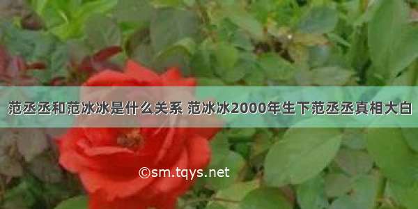 范丞丞和范冰冰是什么关系 范冰冰2000年生下范丞丞真相大白