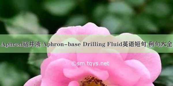 Aphron钻井液 Aphron-base Drilling Fluid英语短句 例句大全