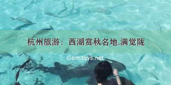 杭州旅游：西湖赏秋名地.满觉陇