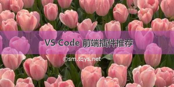  VS Code 前端插件推荐