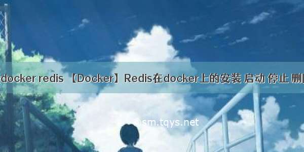 linux卸载docker redis 【Docker】Redis在docker上的安装 启动 停止 删除操作