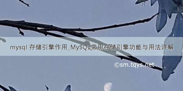 mysql 存储引擎作用_MySQL常用存储引擎功能与用法详解