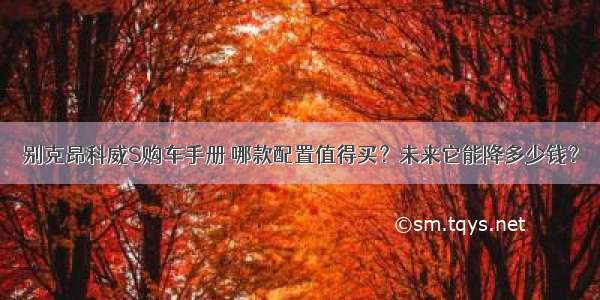 别克昂科威S购车手册 哪款配置值得买？未来它能降多少钱？