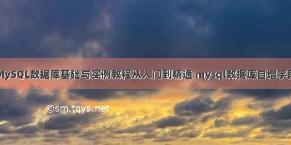 MySQL数据库基础与实例教程从入门到精通 mysql数据库自增字段