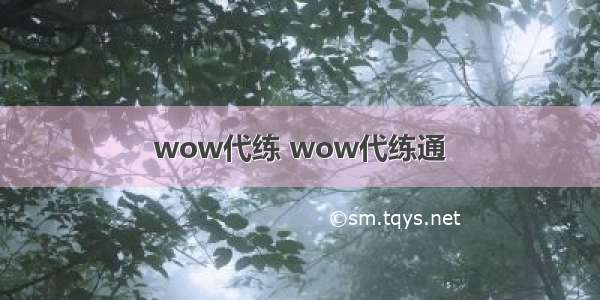 wow代练 wow代练通