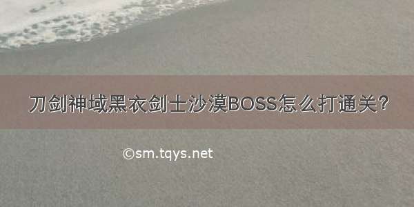 刀剑神域黑衣剑士沙漠BOSS怎么打通关？