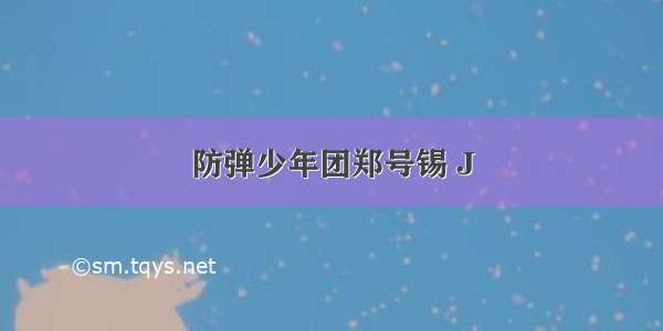 防弹少年团郑号锡 J