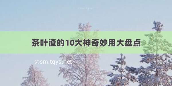 茶叶渣的10大神奇妙用大盘点