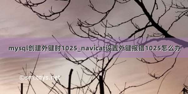 mysql创建外键时1025_navicat设置外键报错1025怎么办