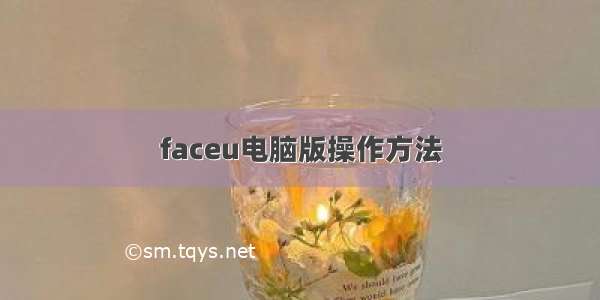 faceu电脑版操作方法