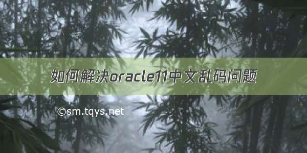 如何解决oracle11中文乱码问题
