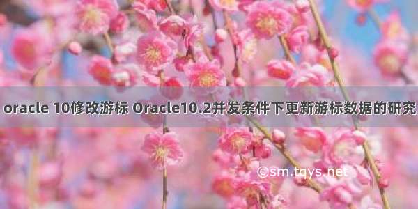 oracle 10修改游标 Oracle10.2并发条件下更新游标数据的研究