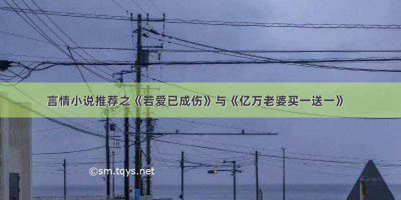 言情小说推荐之《若爱已成伤》与《亿万老婆买一送一》