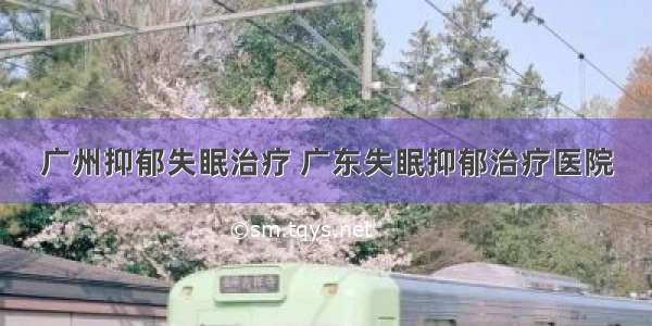 广州抑郁失眠治疗 广东失眠抑郁治疗医院