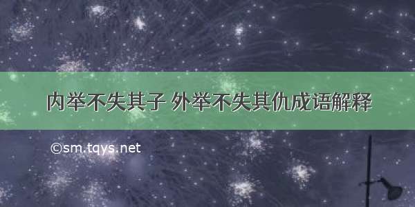 内举不失其子 外举不失其仇成语解释