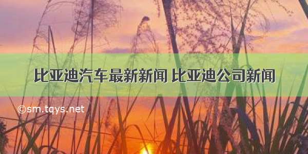 比亚迪汽车最新新闻 比亚迪公司新闻