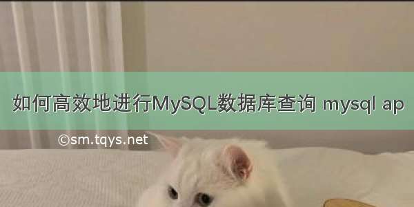 如何高效地进行MySQL数据库查询 mysql ap