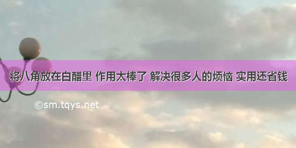 将八角放在白醋里 作用太棒了 解决很多人的烦恼 实用还省钱