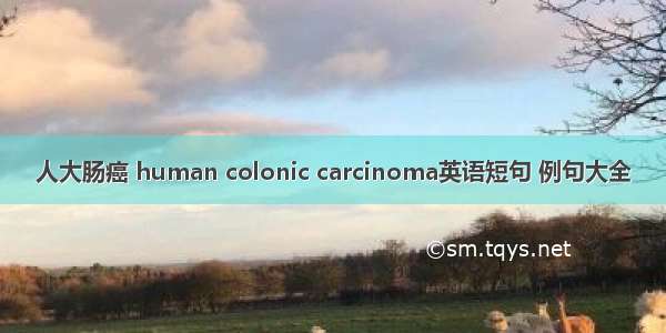 人大肠癌 human colonic carcinoma英语短句 例句大全